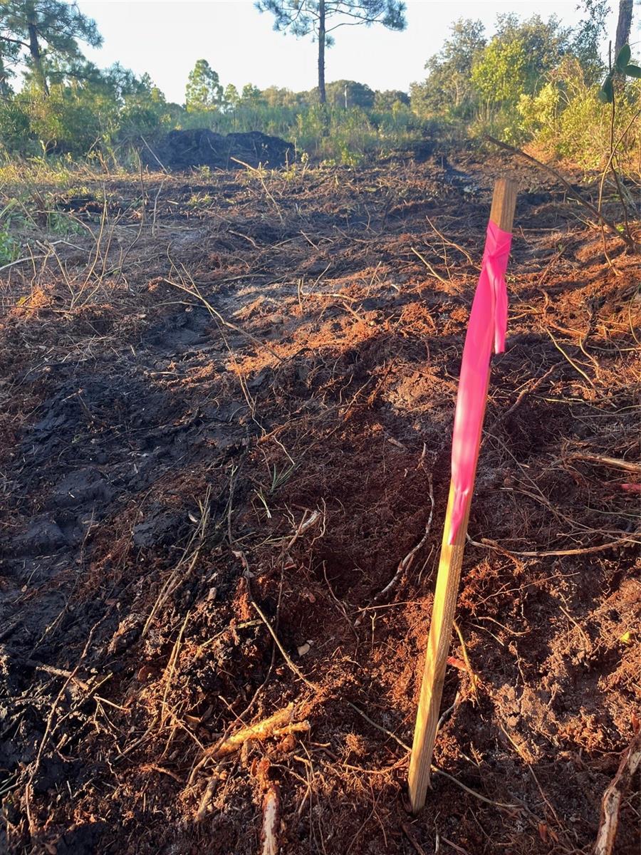 SOUTHERN COLONIZATION CO - Land