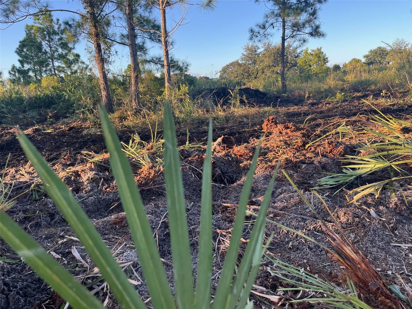 SOUTHERN COLONIZATION CO - Land