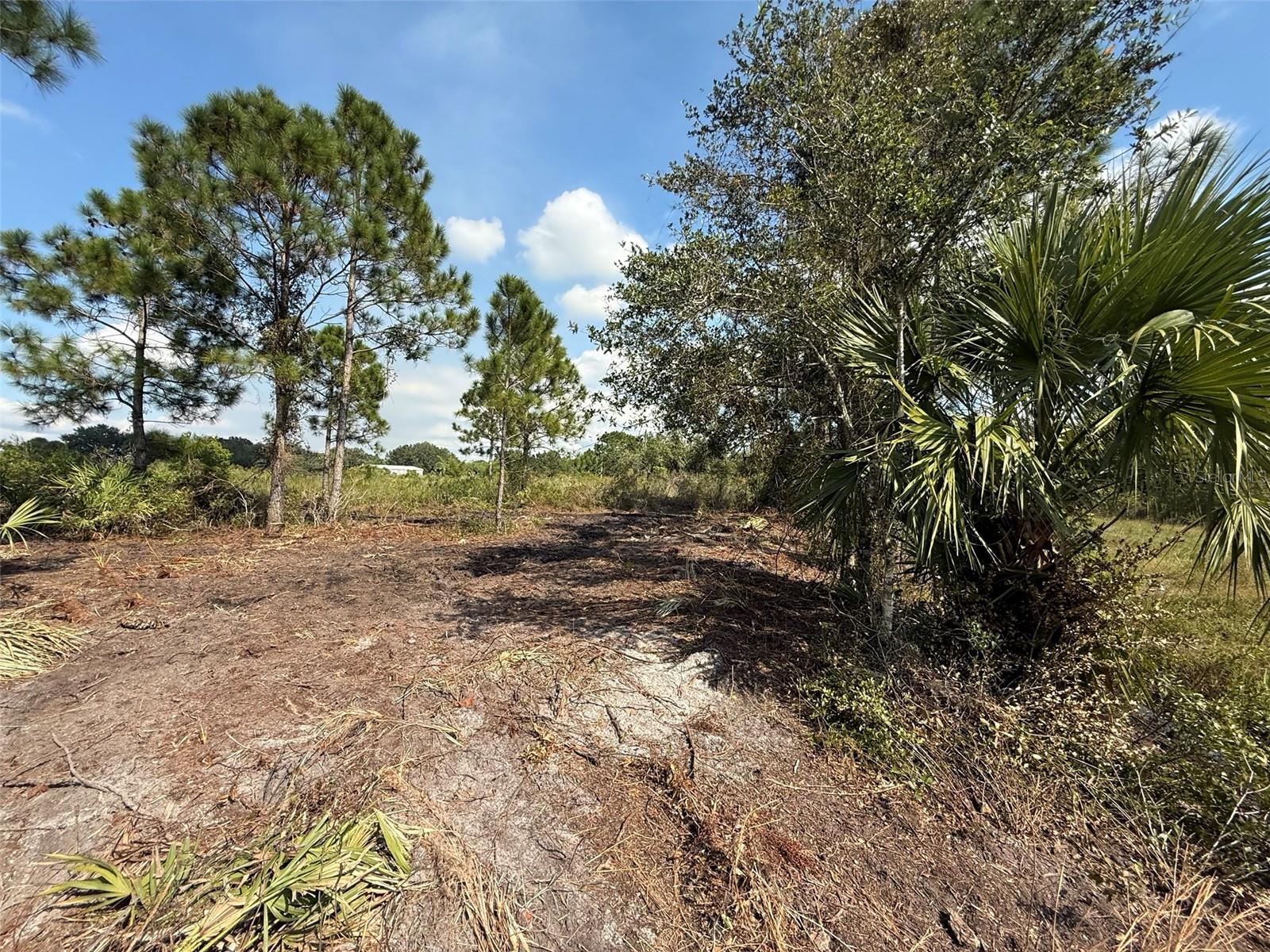 SOUTHERN COLONIZATION CO - Land