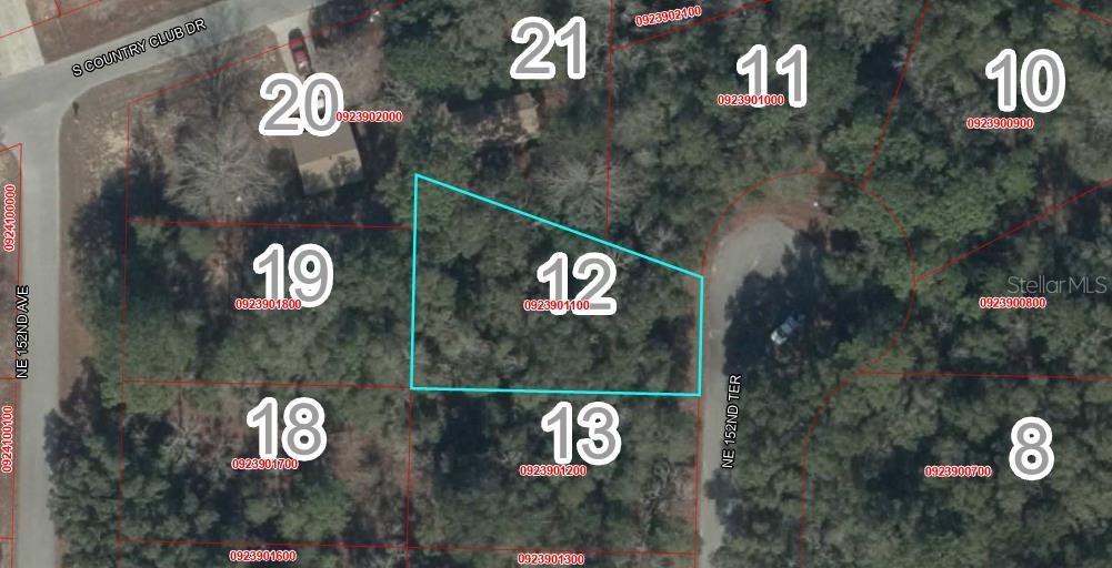 Photo of 12 NE 152nd Terr, Williston, FL 32696 (MLS # GC543435)
