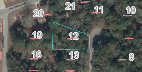 Photo of 12 NE 152nd Terr, Williston, FL 32696 (MLS # GC543435)