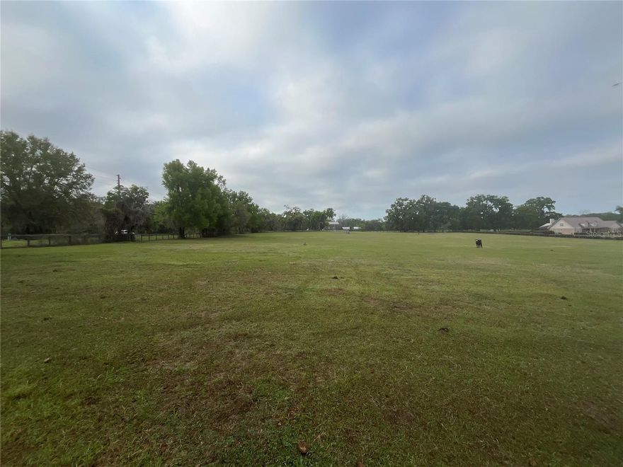 Here is your chance to own a beautiful piece of 3 acres cleared in pasture ready for your new homestead.  Located in highly desired Anthony. This small quaint peaceful neighborhood allows site built homes only but with the benefit of  A-1 zoning allowing horses and cattle.  Your new homestead awaits.  High and dry property.  Conveniently located for easy commute to WEC, Silver Springs, Gainesville, Daytona, Ocala National Forest. 
Seller may consider short term financing. Owner/agent.