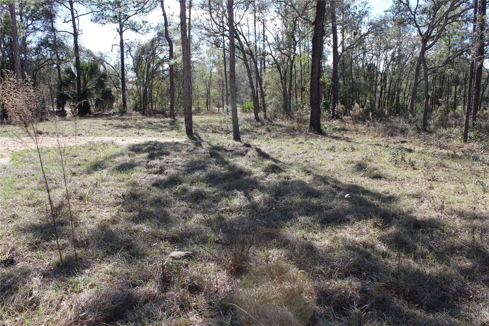 ROYAL HIGHLANDS UNIT 7 - Land