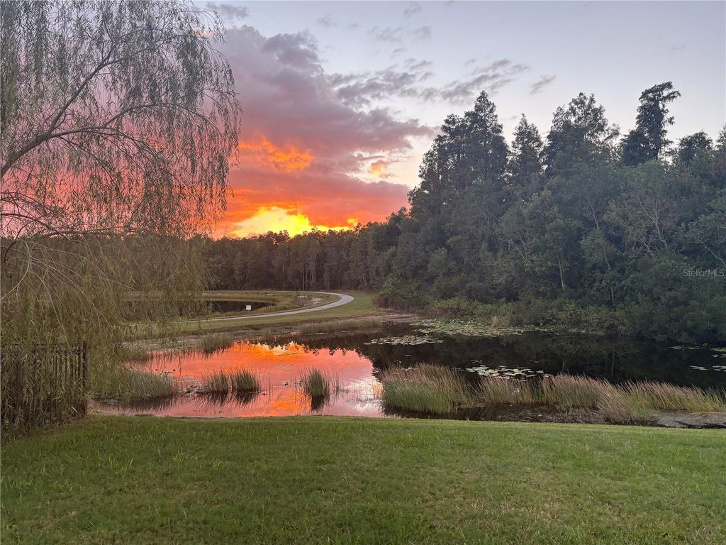 Photo of 17914 Ayrshire Boulevard, Land O Lakes, FL 34638 (MLS # TB8429005)