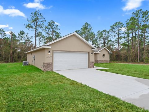 A home in DUNNELLON