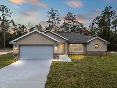 A home in DUNNELLON