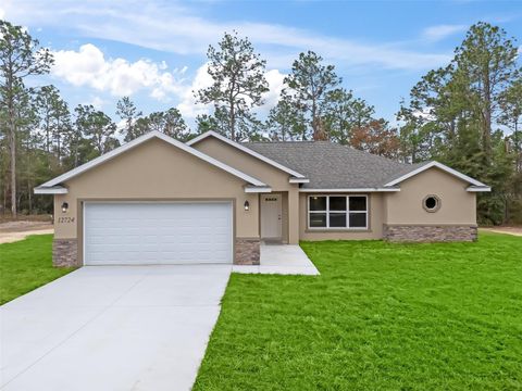 A home in DUNNELLON