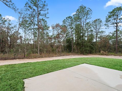 A home in DUNNELLON