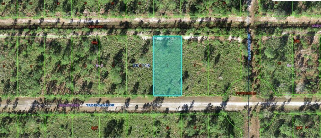 Photo of 706 Tropicana Drive, Indian Lake Estates, FL 33855 (MLS # O6312596)