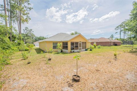 A home in PALM COAST