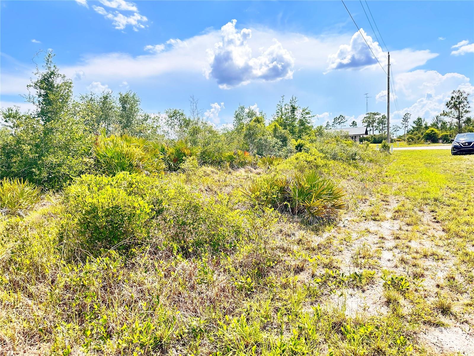 INDIAN LAKE ESTATES - Land