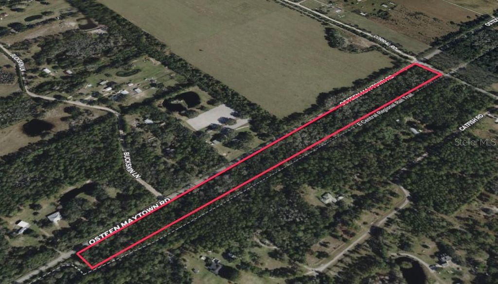 Photo of 200 Guise Road, Osteen, FL 32764 (MLS # O6375557)