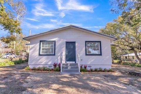 A home in MOUNT DORA