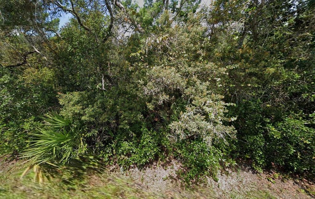 Photo of 755 S Cedar Avenue, Orange City, FL 32763 (MLS # A4682921)