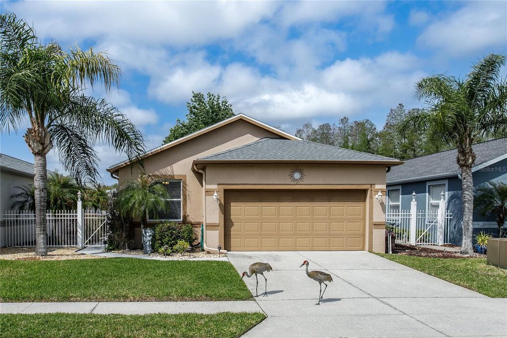 Photo of 8415 Tarocco Court, Land O Lakes, FL 34637 (MLS # TB8489308)