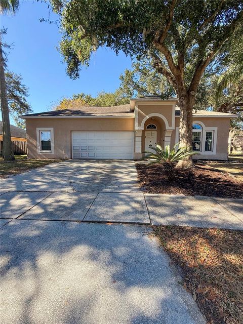 5901 ERHARDT DRIVE RIVERVIEW FL 33578
