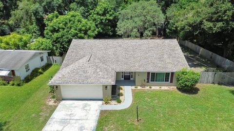 A home in DELAND