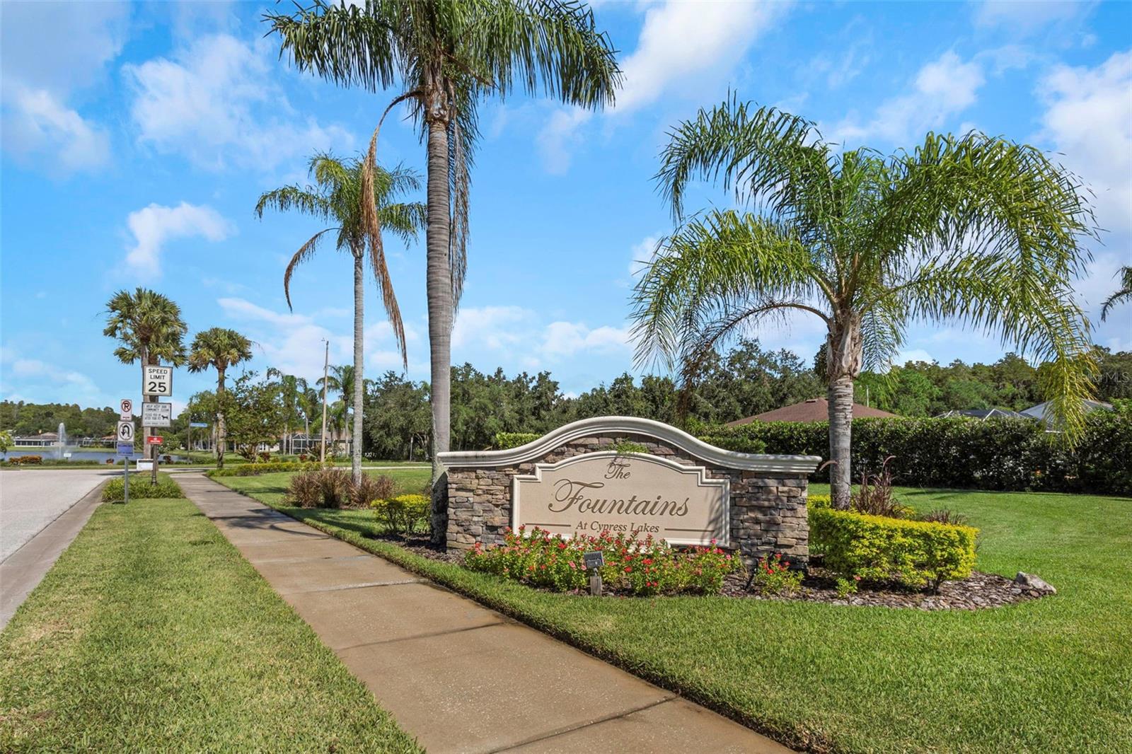 FOUNTAINS AT CYPRESS LAKES THE - Residential