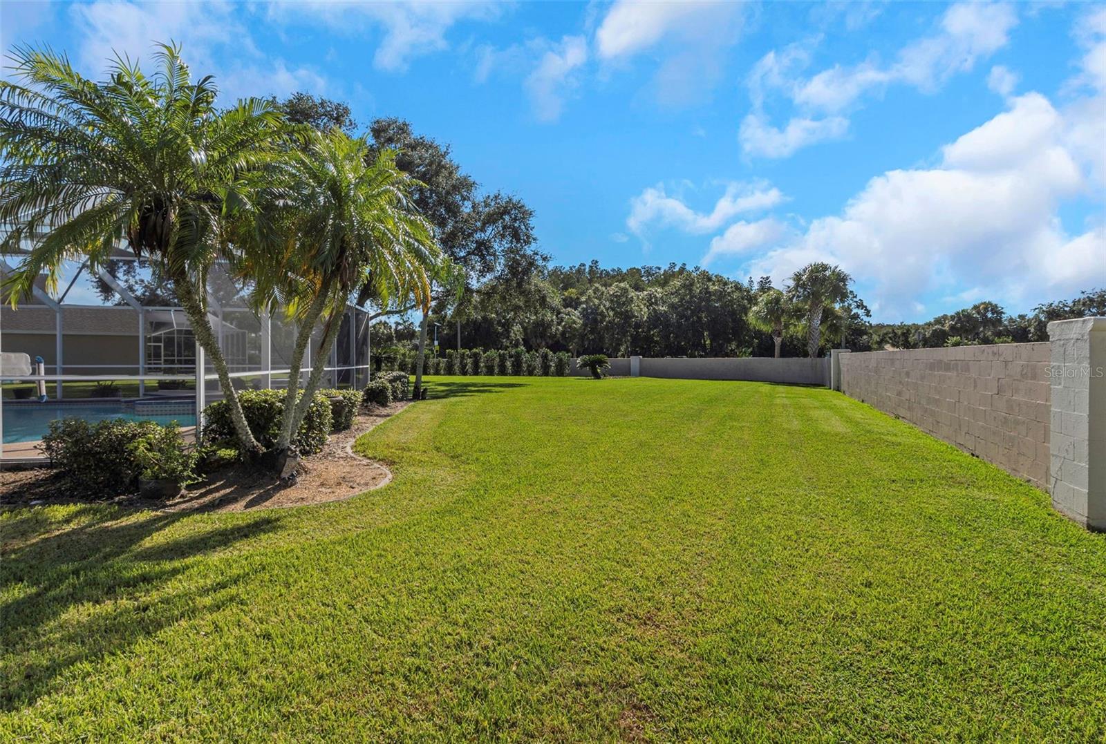 FOUNTAINS AT CYPRESS LAKES THE - Residential