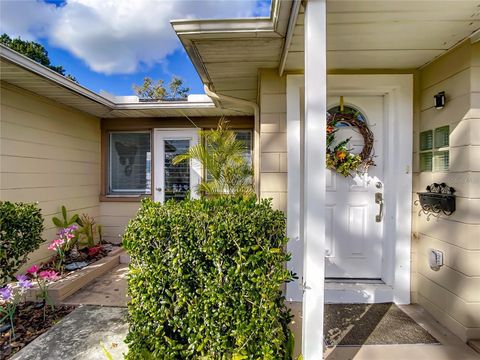 A home in MOUNT DORA