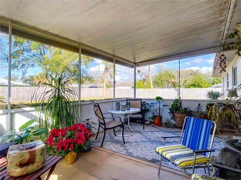 A home in MOUNT DORA