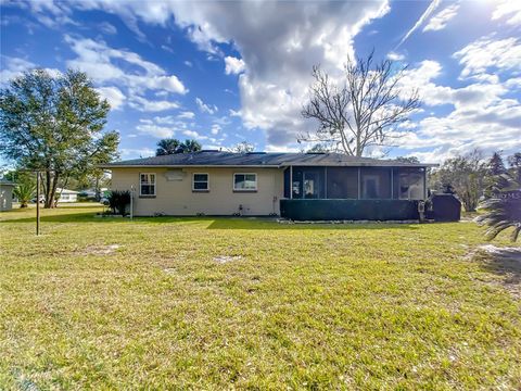 A home in MOUNT DORA