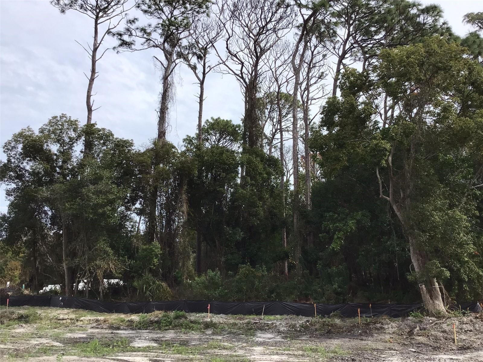 ESTATES AT ENISWOOD - Land