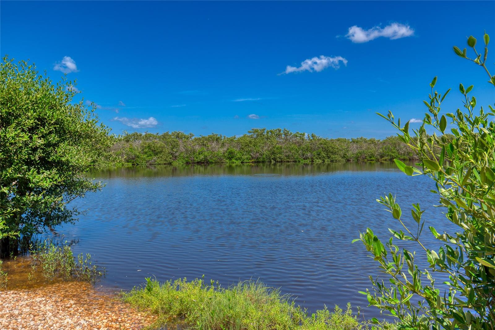 145 CEDAR DUNES DRIVE