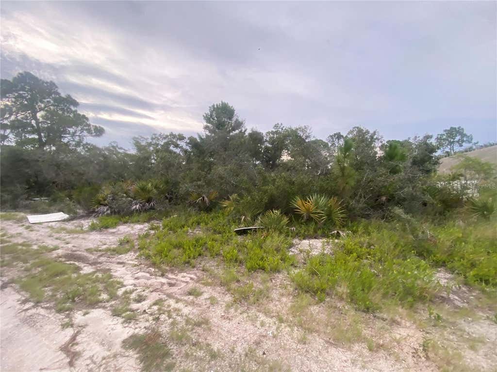 Photo of 321 Brant Avenue, Sebring, FL 33870 (MLS # L4963976)