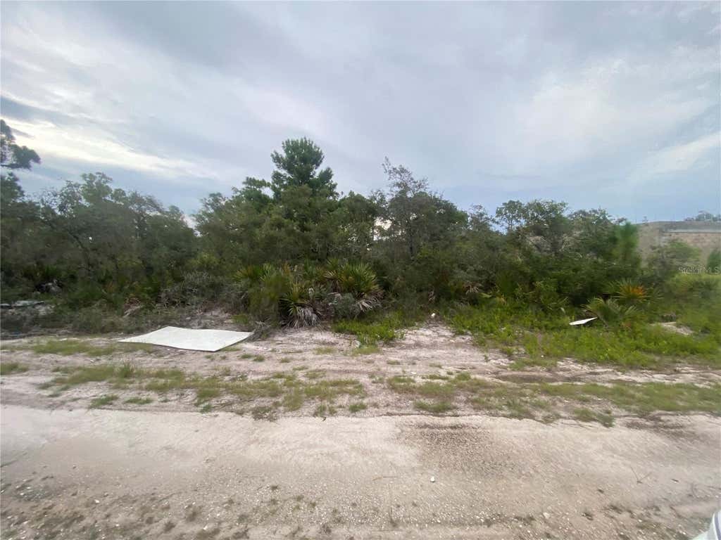 Photo of 321 Brant Avenue, Sebring, FL 33870 (MLS # L4963976)