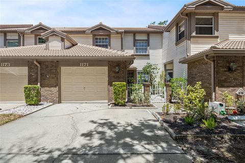 1171 CLAYS TRAIL OLDSMAR FL 34677