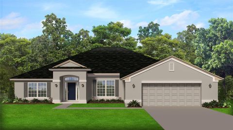 11 BEGONIAS COURT HOMOSASSA FL 34446