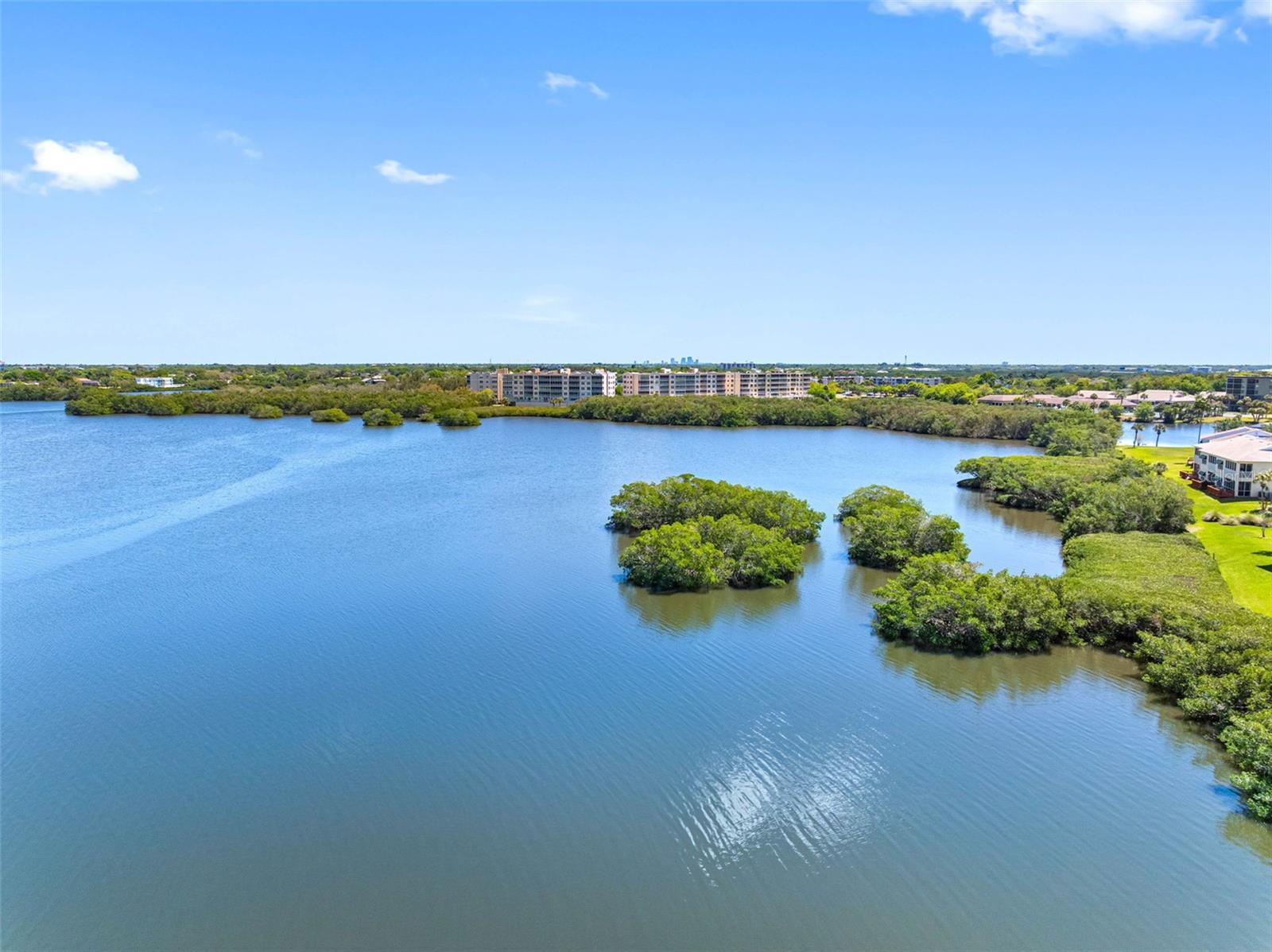 SHORES OF LONG BAYOU CONDO - Residential