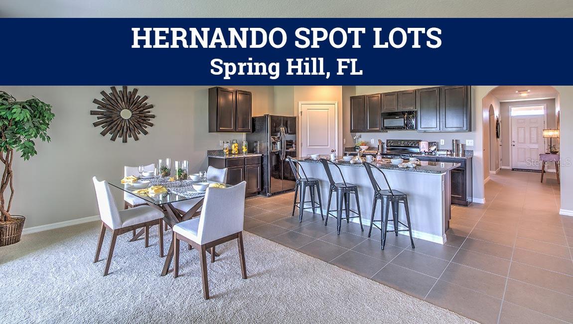 SPRING HILL UNIT 13 HERNANDO SPOT LOTS - Residential