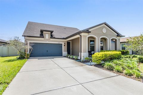 8296 OLIVE BROOK DRIVE WESLEY CHAPEL FL 33545