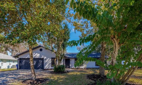 Photo of 2425 Royal Palm Drive, Edgewater, FL 32141 (MLS # V4947040)