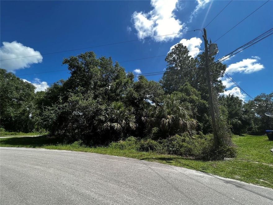 Located on the East side of North Port, one of the fastest-growing cities in the country, this OVERSIZE LOT, almost 1/2 acre is the perfect location for your dream home. This lot offers easy access to shopping, restaurants, parks, beaches, and everything you need to enjoy life in the Sunshine State.