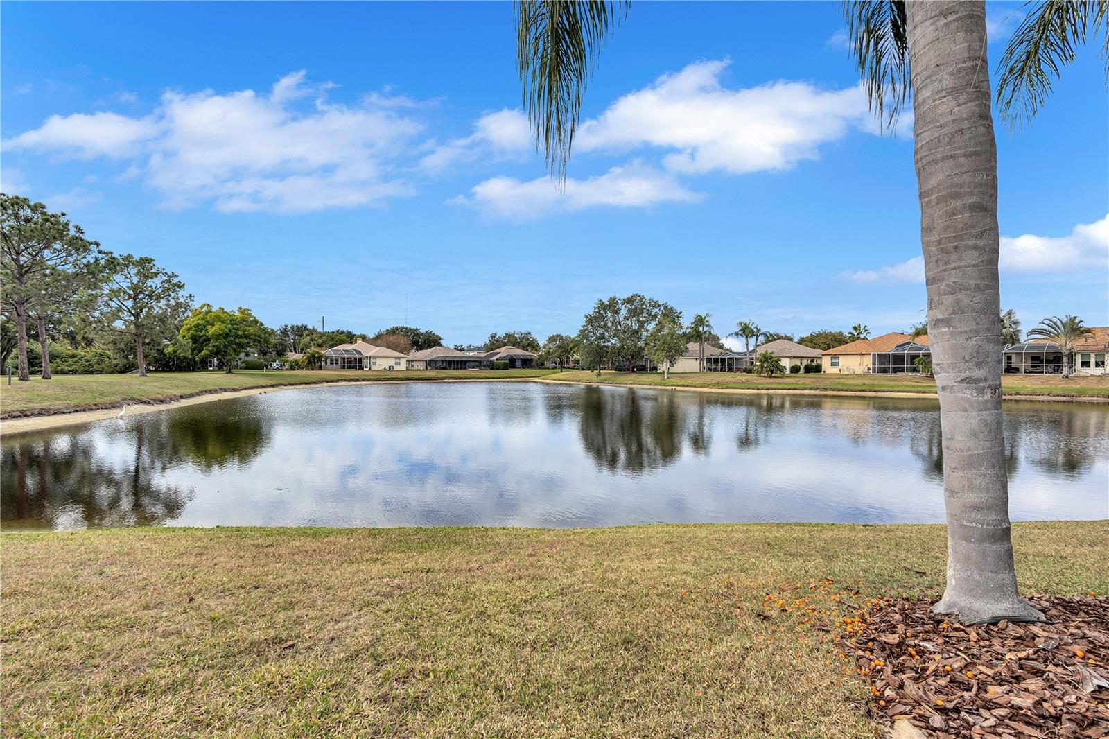 RIVER WATCH - Residential