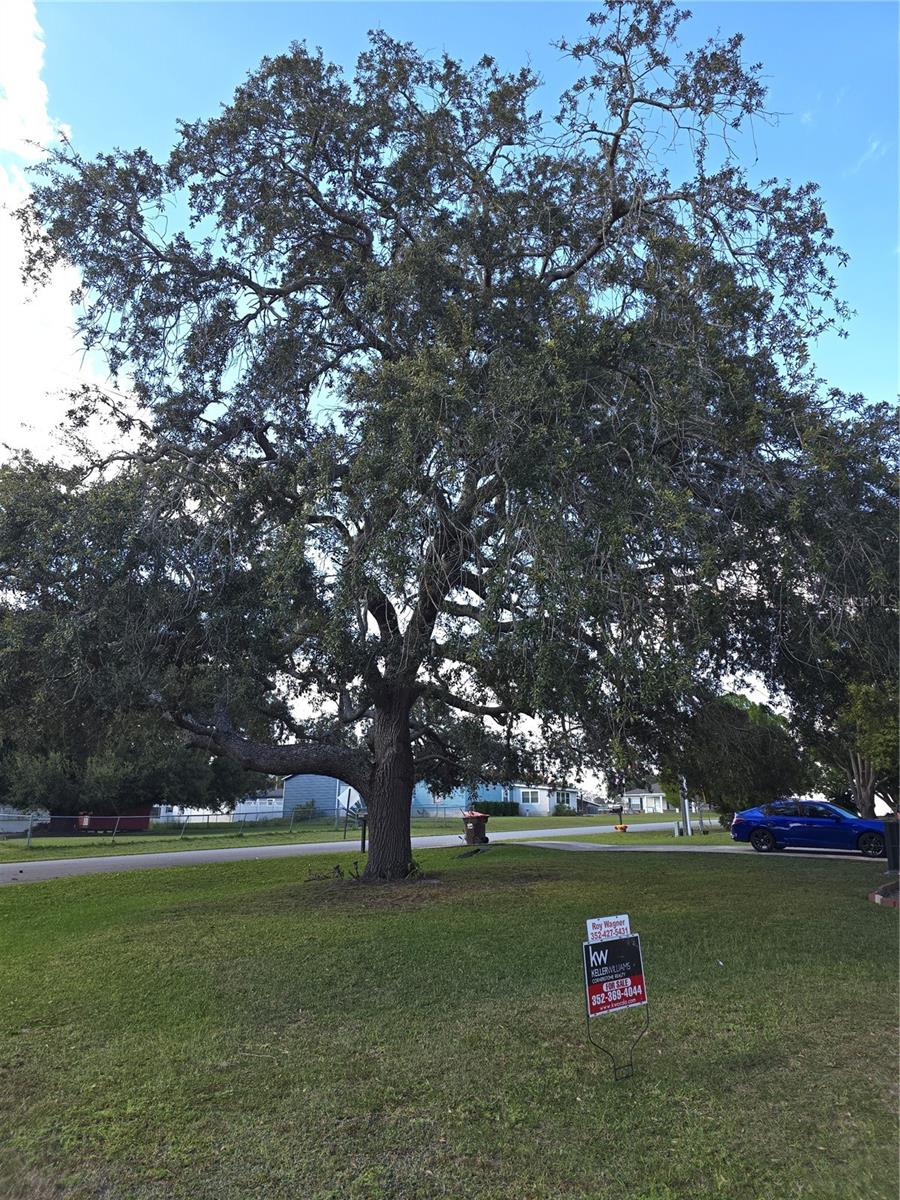 12667 SE 101ST COURT