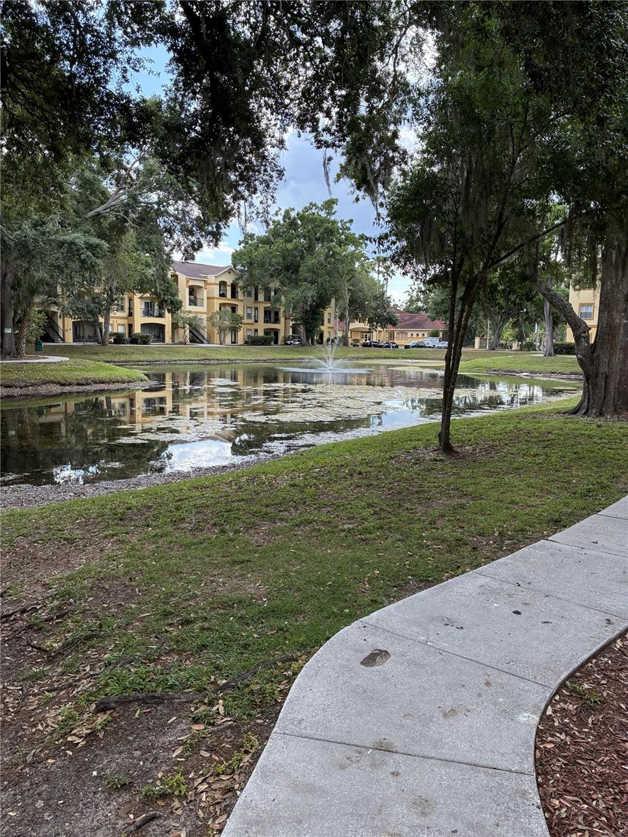 THE PINNACLE AT CARROLLWOOD A - Residential