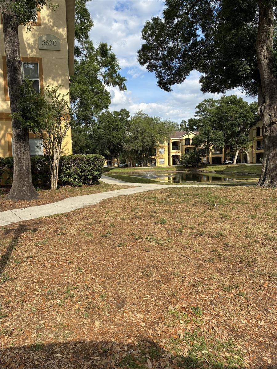 THE PINNACLE AT CARROLLWOOD A - Residential