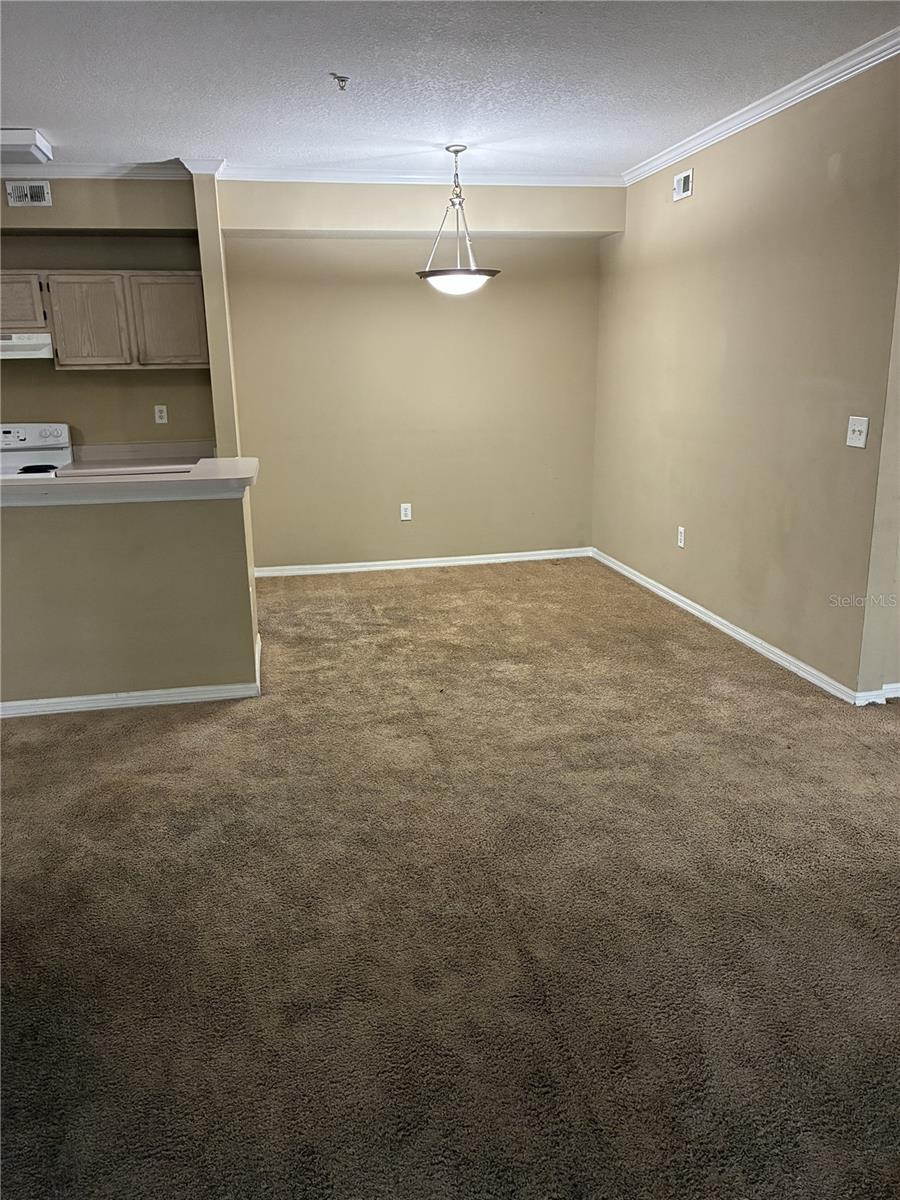 THE PINNACLE AT CARROLLWOOD A - Residential