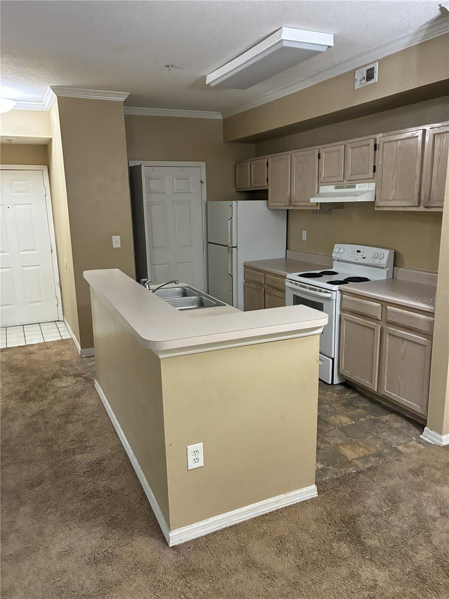 THE PINNACLE AT CARROLLWOOD A - Residential