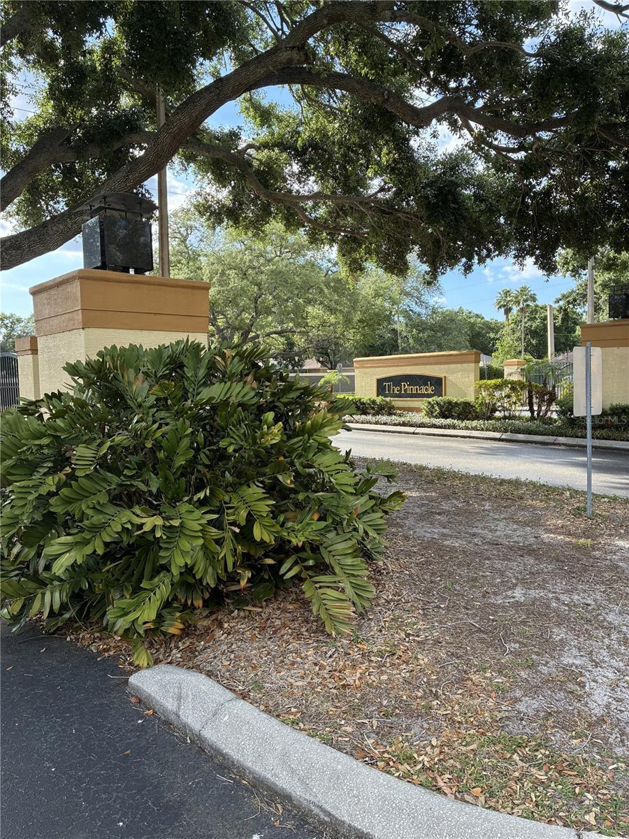 THE PINNACLE AT CARROLLWOOD A - Residential