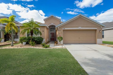 A home in APOLLO BEACH