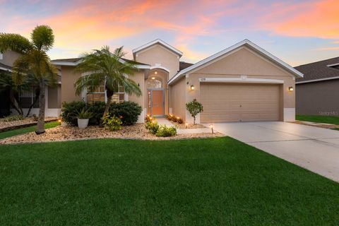 A home in APOLLO BEACH