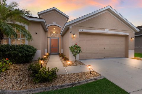 A home in APOLLO BEACH