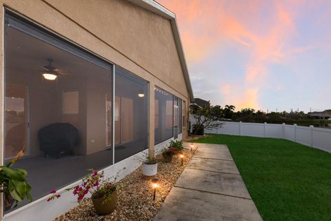 A home in APOLLO BEACH