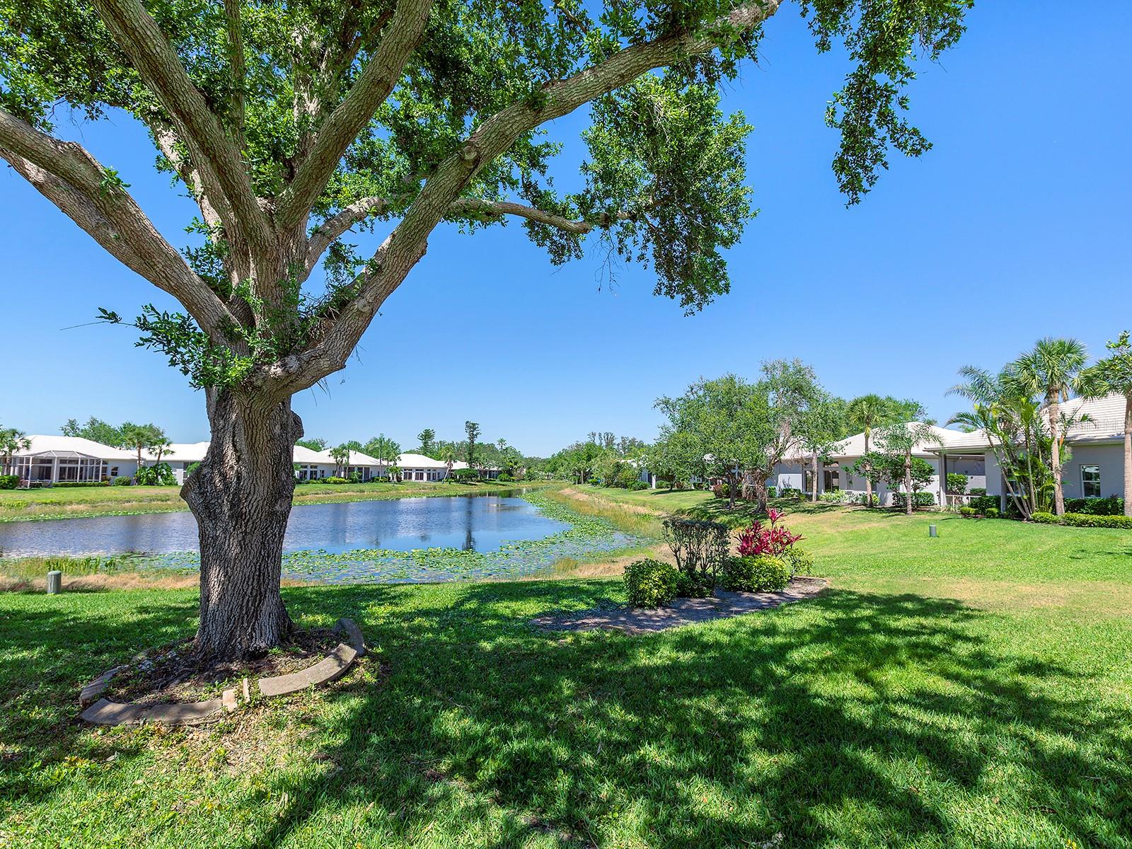 LYNWOOD GLEN - Residential