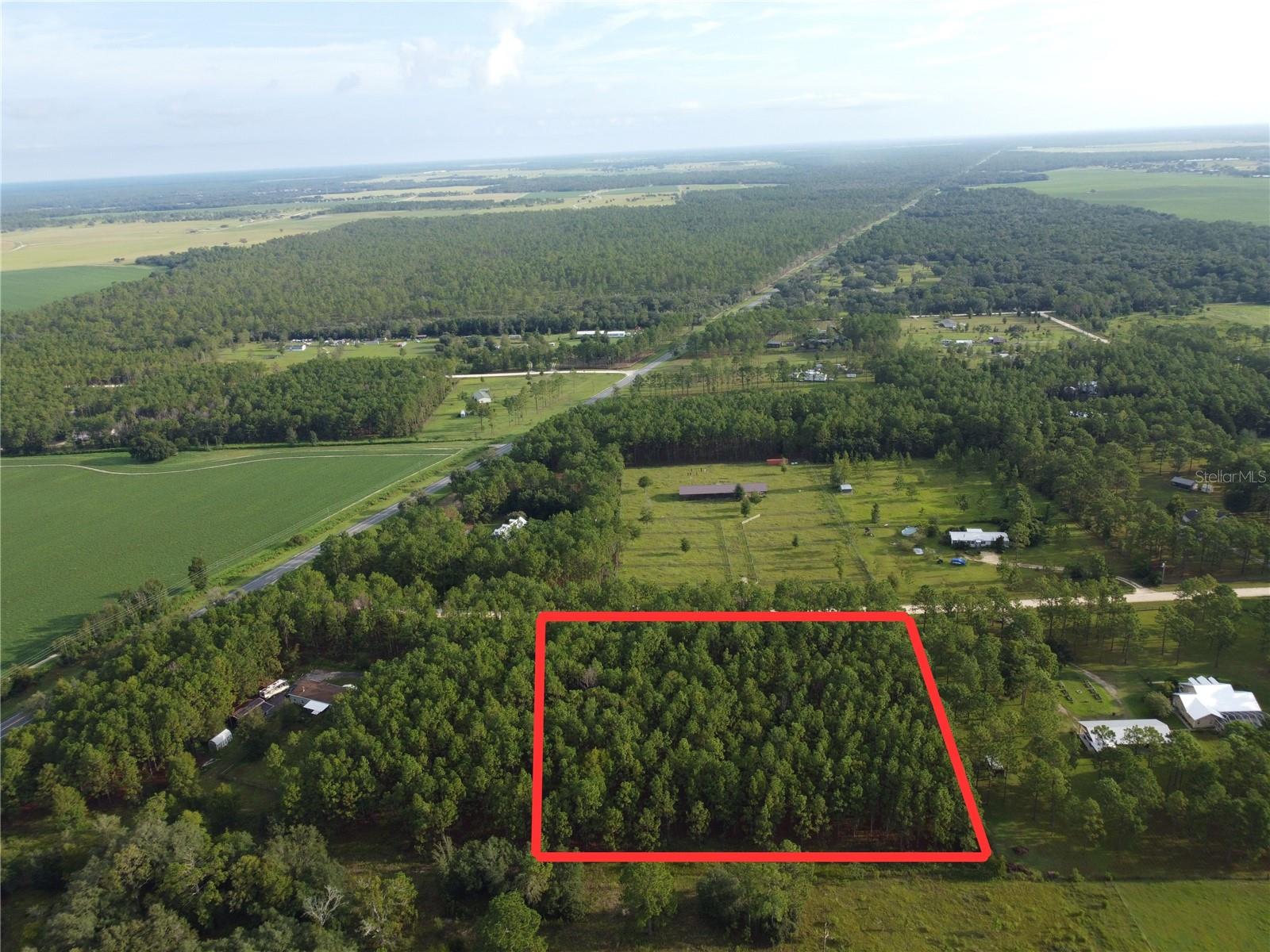 Don’t miss this incredible opportunity to own 5 high and dry wooded acres in the highly desirable community of Langley Estates. This property offers the perfect blend of privacy and convenience, giving you the peaceful country lifestyle while still being close to town. Ideally located just off SR 121, you’ll enjoy quick access to nearby destinations—only 35 minutes from Gainesville, 30 minutes from the World Equestrian Center in Ocala, and 15 minutes from Williston. With plenty of space to build your dream home or simply enjoy the natural beauty that surrounds you, this lot is the perfect blank canvas. Call today for more information—this one won’t last long!
